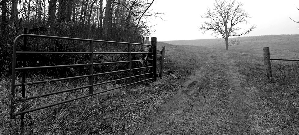 Crop of Farm Gate photo by Terry McNeil