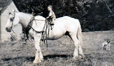 The young author on a workhorse