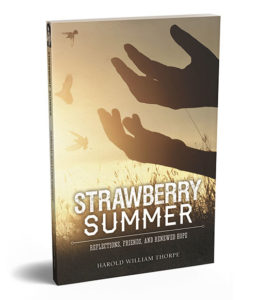 Cover Strawberry Summer