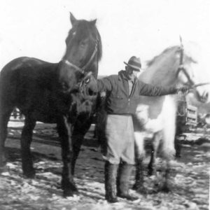 Will and two horses