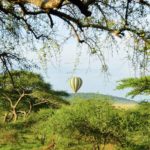 Serengeti and balloon