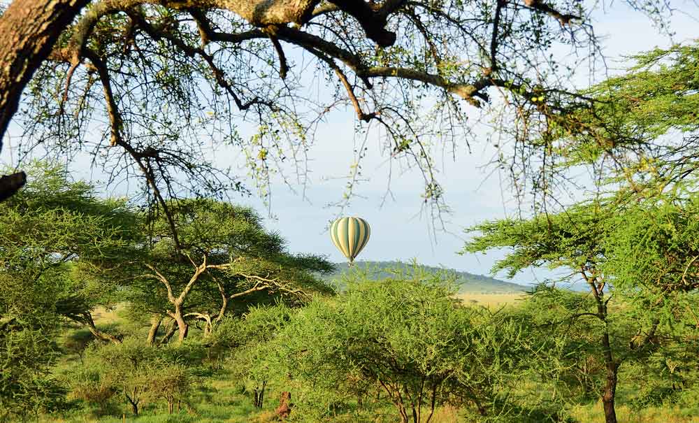 Serengeti and balloon