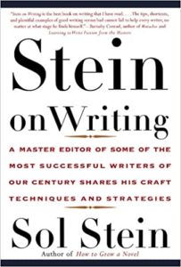 Stein on writing